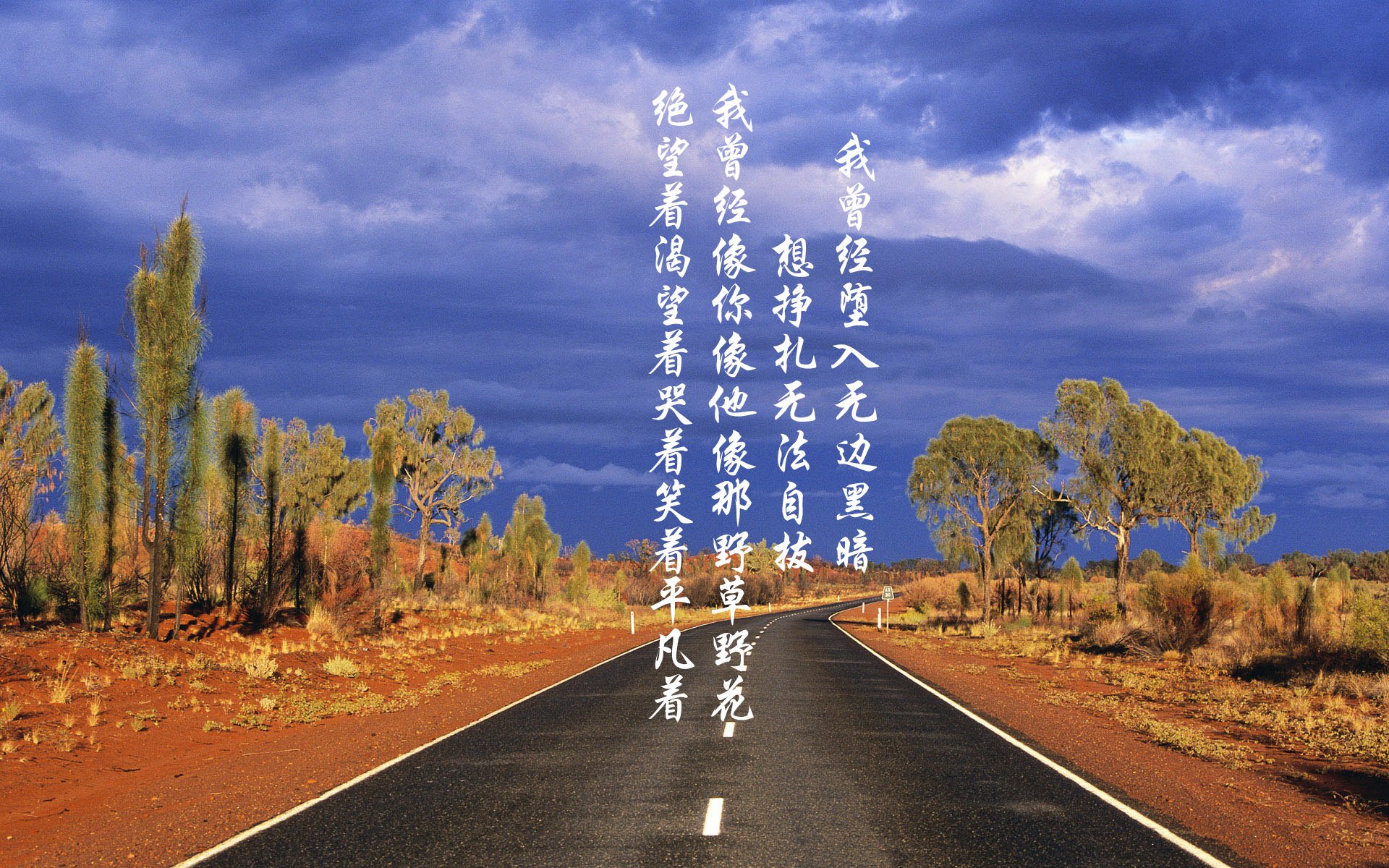 _天空漂浮、地面滑行：创新运动玩法_，天空中漂浮的城市