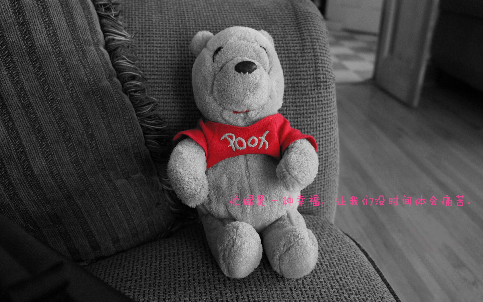 _鹈鹕队展现团队精神，追逐季后赛希望_，鹈鹕队中文网