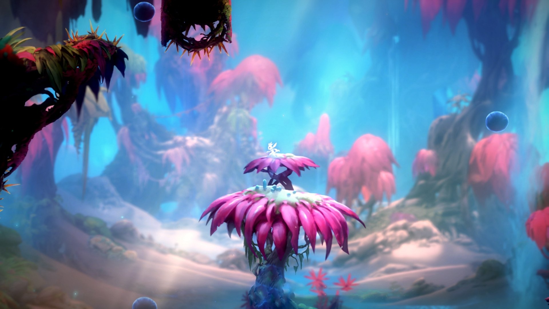 伊朗马术协会建立马匹基因数据库，促进马匹选育与训练。，伊朗马球