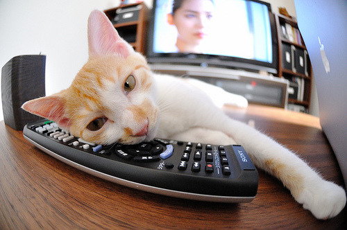 冬季滑冰灯光秀，冰上运动与艺术完美融合，冬季滑冰场广告词